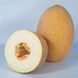 Насіння Диня Кубус F1, 10 шт зіп-пакет (Голландія) 31999 фото 1