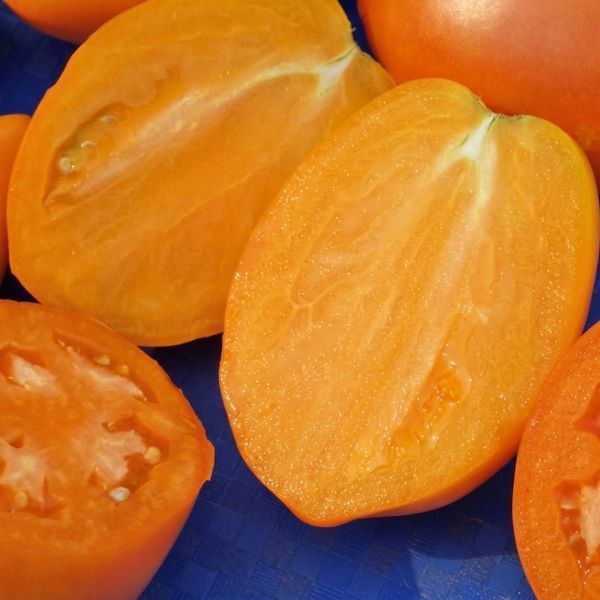Насіння Томат Золотий Кенігсберг 25 шт., СМ 13169 фото