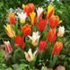 12142 фото 2