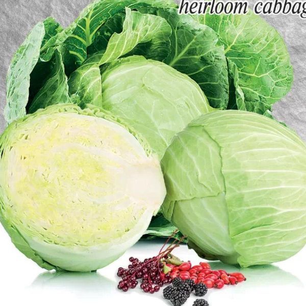 Насіння Капуста б/г Пізня Доттенфельдер Дауер 150 шт., СМ 31743 фото