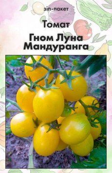 Насіння Томат Гном Луна Мандуранга 15 шт (від колекціонера) 32413 фото
