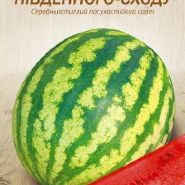 Семена Арбуз РОЗА ЮГО-ВОСТОКА 1г (Семена Украины) 31896 фото