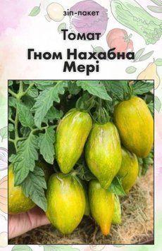 Насіння Томат Гном Нахабна Мері 15 шт (від колекціонера) 32416 фото