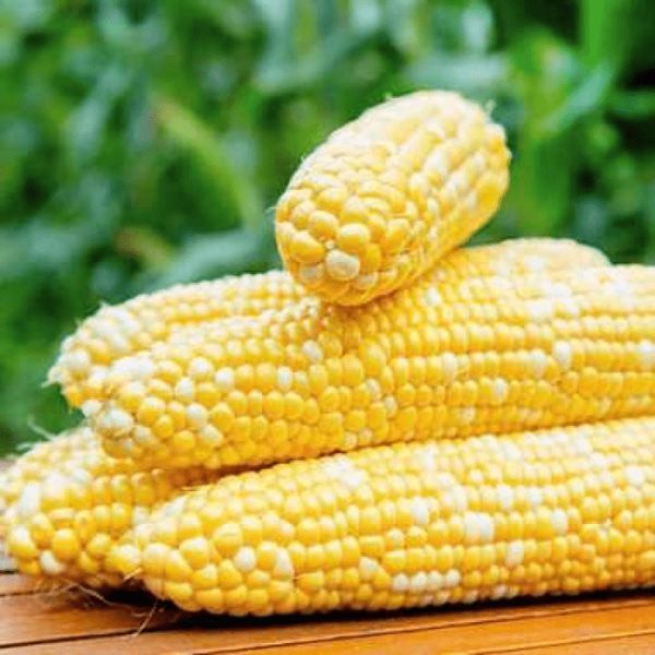 Насіння Кукурудза Сонце та зірки 20 г СМ 30404 фото