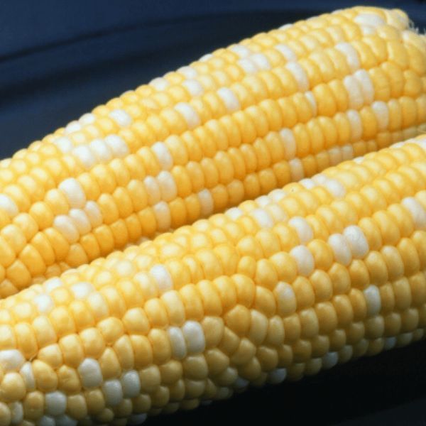 Насіння Кукурудза Сонце та зірки 20 г СМ 30404 фото