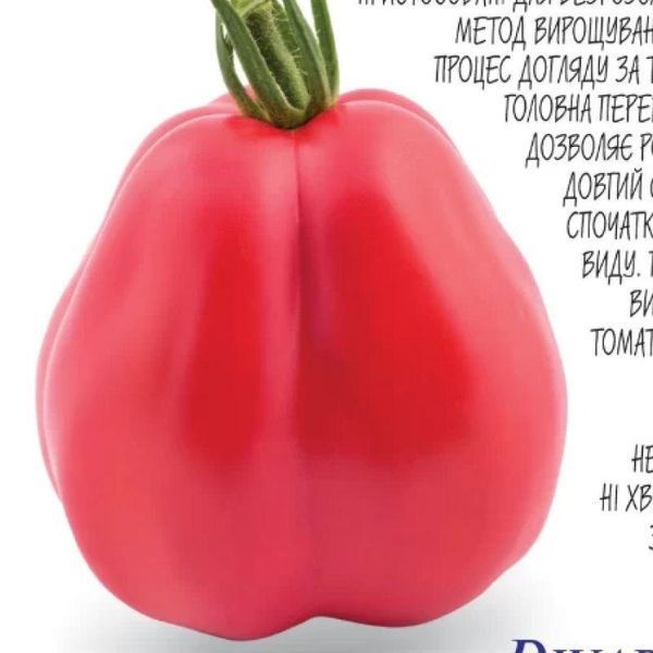 Насіння Томат Дзвін Канестрино 100 шт., СМ 31851 фото