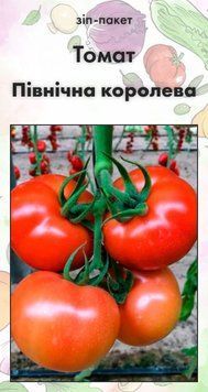 Семена Томат Северная королева 15 нас (от коллекционера) 12727 фото