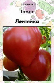 Семена Томат Лентяйка 15 шт (от коллекционера) 32425 фото