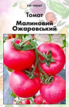 Насіння Томат Малиновий Ожаровський 15 шт (від колекціонера) 32426 фото