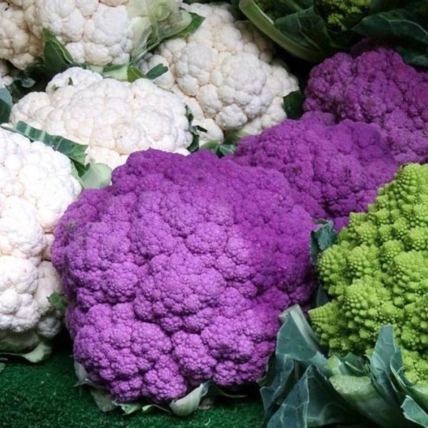 Насіння Капуста цвітна Вибір Шеф-кухаря суміш 200 шт СМ 10530 фото
