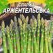 Семена Спаржа Аржентельская 1г Семена Украины 31907 фото 2
