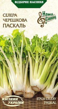 Насіння Селера черешкова Паскаль 0,5г Насіння України 13089 фото