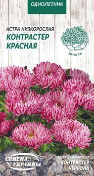 Семена Цветы Астра Низкая Контрастер Красная 0,2 г Семена Украины 21411 фото