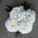 Півонія Gardenia 3/5 21122 фото 2