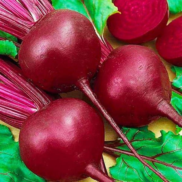 Насіння Буряк ЧЕРВОНА КУЛЯ 10г (Насіння України) 32287 фото