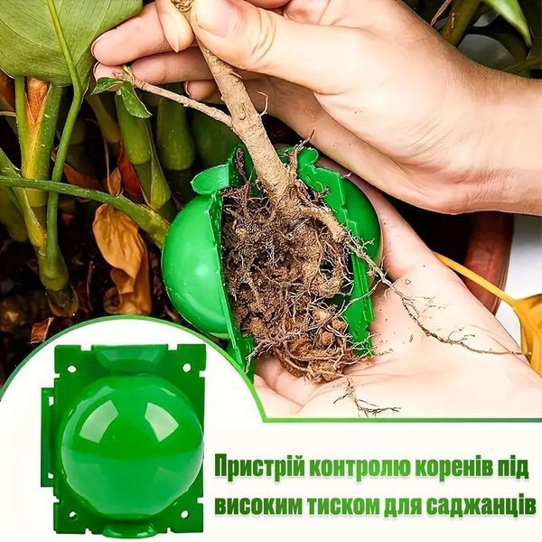 Багаторазова Куля для укорінення рослин 50 мм зелена 32561 фото