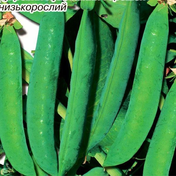 Насіння Горох Дитячий захват 50 г., СМ 31732 фото