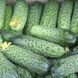 Насіння Огірок Кімнатний 10 шт. ТМ Геліос 30262 фото 3