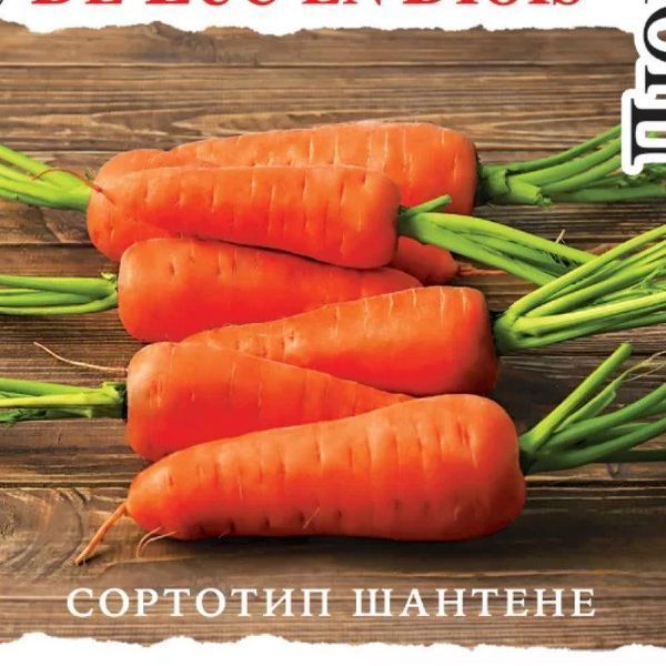 Насіння Морква Люк ан Діуа 1000 шт., СМ 31775 фото