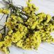 Семена Цветы Статица Летнее Солнышко 0,2 г Семена Украины 31003 фото 2