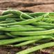 Насіння Квасоля спаржева Скуба 10 н (Німеччина) 10724 фото 2