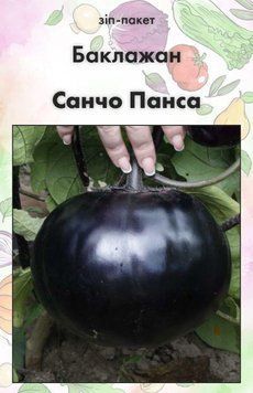 Насіння Баклажан Санчо Панса 15 шт (від колекціонера) 32395 фото