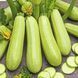 Насіння Кабачок Чаклун 3 г Насіння України 30954 фото 3