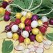 Насіння Редис Великоднє яйце 3г СМ 13164 фото 3