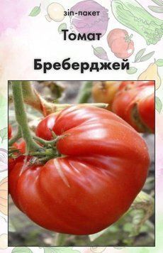 Насіння Томат Бреберджей 15 шт (від колекціонера) 32403 фото